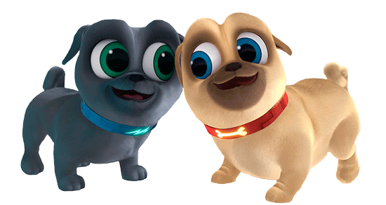 Perritos chocando la cabeza