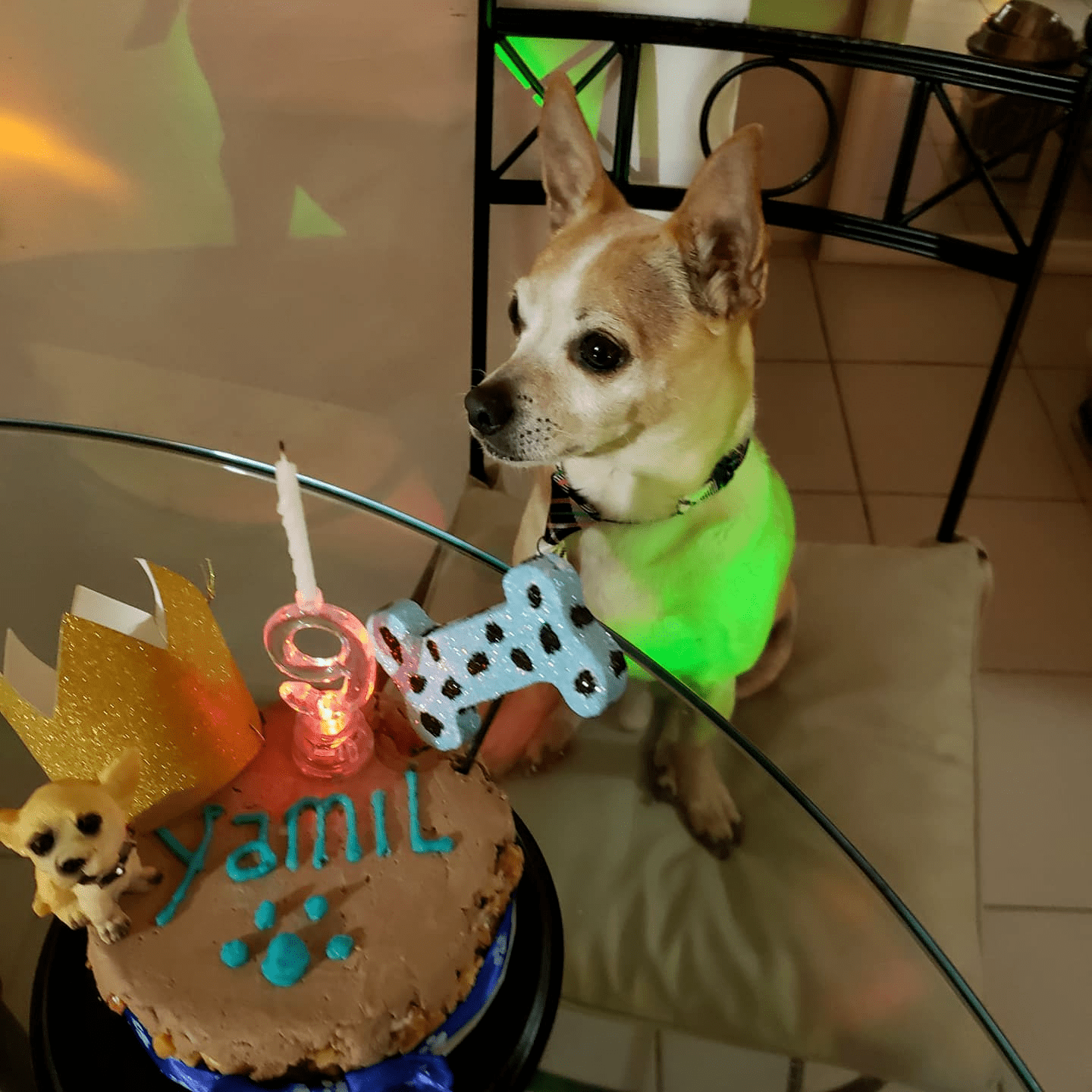 Cumpleaños de Yamil